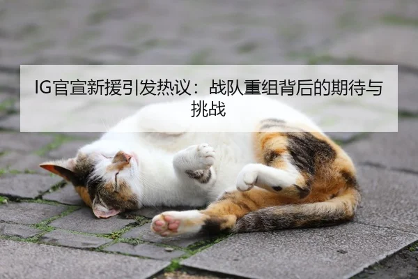 IG官宣新援引发热议：战队重组背后的期待与挑战